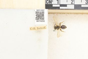 Media type: image;   Entomology 770232 Aspect: Labels